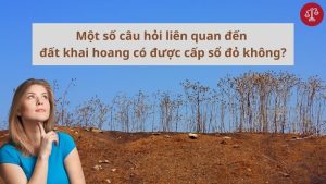 dat-khai-hoang-truoc-nam-2004