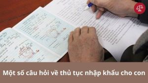 mot-so-cau-hoi-lien-quan-den-thu-tuc-nhap-khau-cho-con