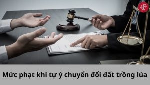 muc-phat-tu-y-chuyen-doi-dat-lua-sang-dat-trong-cay-lau-năm