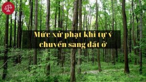 muc-xu-phat-chuyen-doi-dat-rung-san-xuat-sang-dat-o