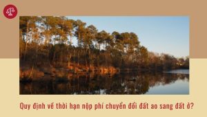 thu-tuc-tang-cho-dat-le-phi-truoc-ba