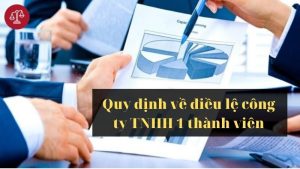 quy-dinh-dieu-le-cua-cong-ty-tnhh-1-thanh-vien
