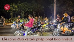 quy-dinh-ve-toi-dua-xe-trai-phep-moi-nhat
