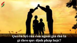 quyen-loi-con-ngoai-gia-thu-la-gi