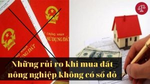 rui-ro-mua-ban-dat-nong-nghiep-khong-co-so-do