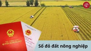 tu-van-thu-tuc-cap-lai-so-do-dat-nong-nghiep