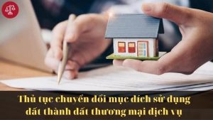 thu-tuc-chuyen-doi-sang-dat-thuong-mai-dich-vu