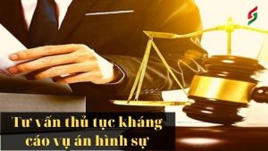 thu-tuc-khang-cao-la-gi
