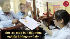 thu-tuc-mua-ban-dat-nong-nghiep-khong-co-so-do