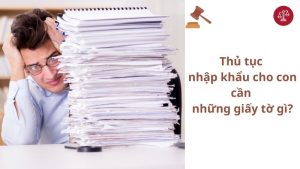 thu-tuc-nhap-khau-cho-con-can-nhung-giay-to-gi