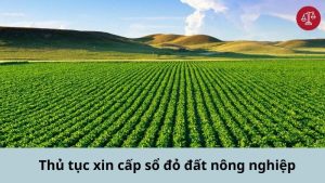 thu-tuc-xin-cap-so-do-dat-nong-nghiep