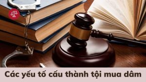 toi-mua-dam