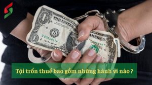 tron-thue-thu-nhap-ca-nhan-quy-dinh-moi-nhat
