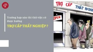 truong-hop-nao-thu-viec-co-duoc-huong-bao-hiem-that-nghiep