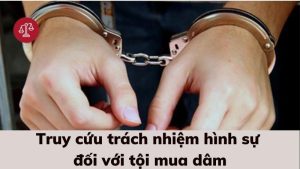 truy-cuu-trach-nhiem-hinh-su-toi-mua-dam