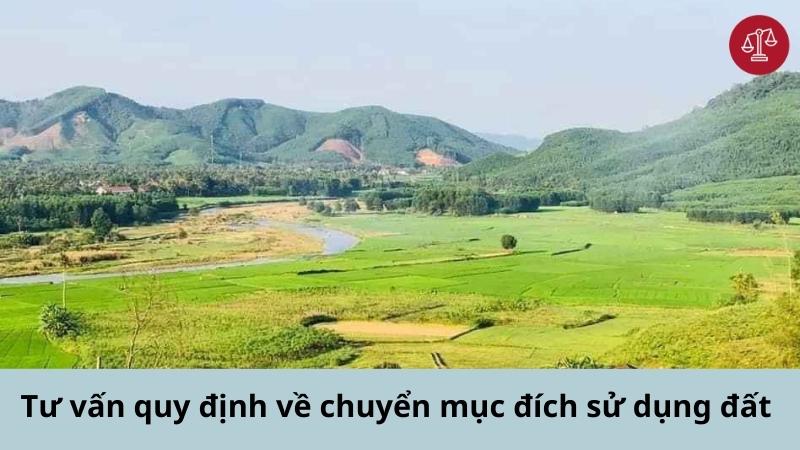 tu-van-quy-dinh-ve-chuyen-muc-dich-su-dung-dat