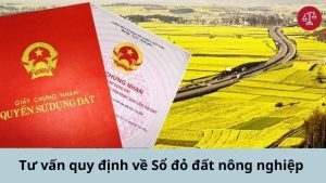 quy-dinh-thu-tuc-cap-lai-so-do-dat-nong-nghiep