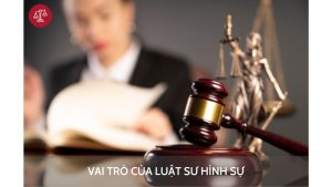 vai-tro-luat-su-hinh-su