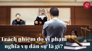 vi-pham-dan-su-la-gi-bi-trach-nhiem-do-vi-pham