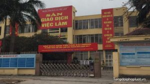 bao-hiem-that-nghiep-thanh-pho-hai-phong