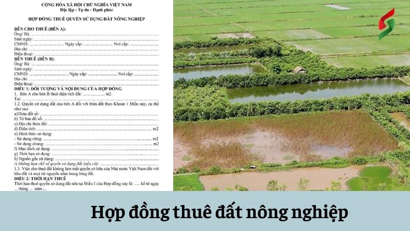 hop-dong-thue-dat-nong-nghiep