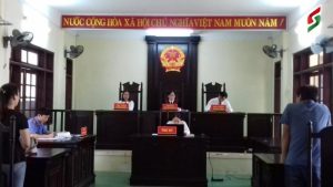 luat-su-tai-toa-an-nhan-dan-huyen-dong-anh