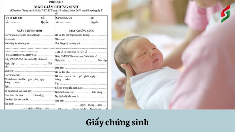 giay chung sinh