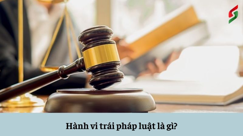 hanh-vi-trai-phap-luat-la-gi