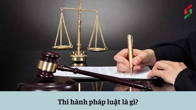 thi-hanh-phap-luat-la-gi