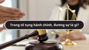 trong-to-tung-hanh-chinh-duong-su-la-gi