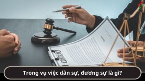 trong-vu-viec-dan-su-duong-su-la-gi