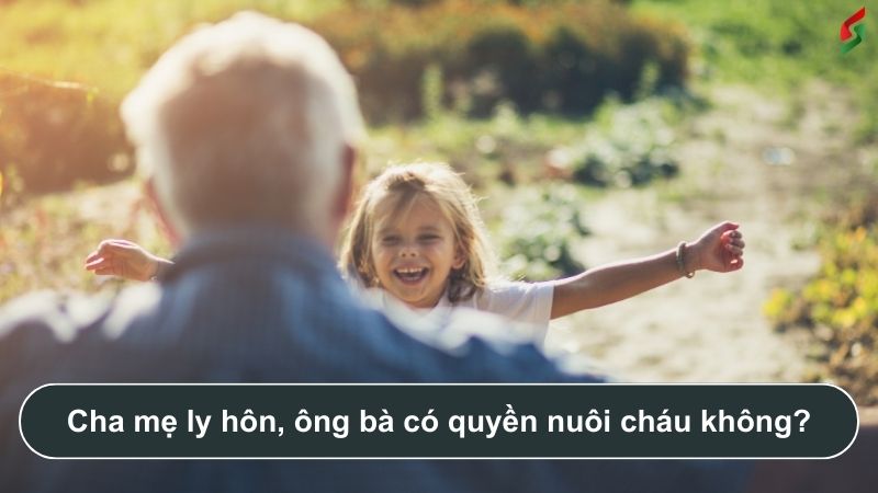 Khi bố mẹ ly hôn, ông bà có quyền nuôi cháu không? 2 cha-me-ly-hon-ong-ba-co-quyen-nuoi-chau-khong