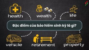 dac-diem-cua-bao-hiem-sinh-ky-la-gi