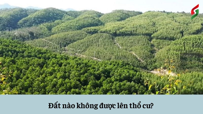 Đất nào không được lên thổ cư? Đất nào không được lên đất ở? 6 dat-nao-khong-duoc-len-tho-cu