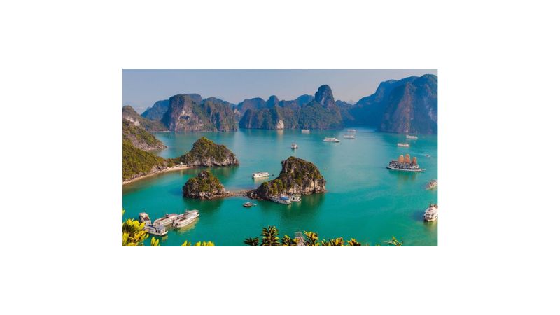 luat di san van hoa