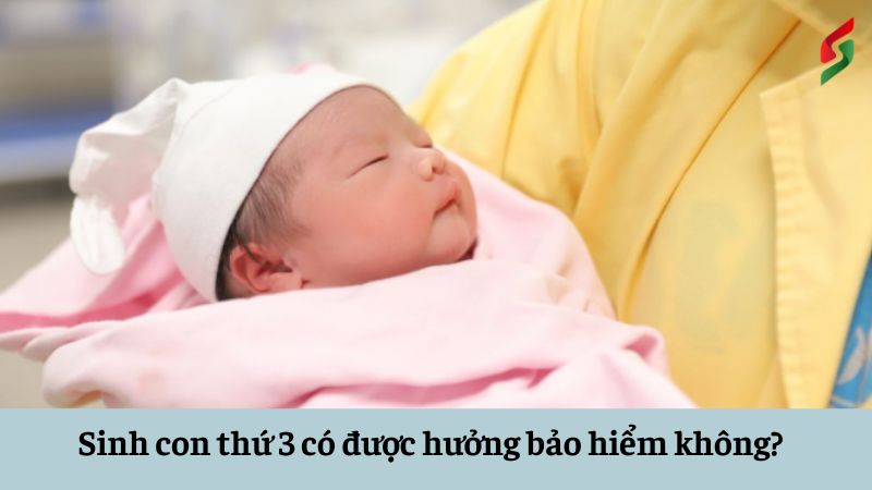 Sinh con thứ 3 có được hưởng bảo hiểm không? Tư vấn miễn phí 10 sinh-con-thu-3-co-duoc-huong-bao-hiem-khong