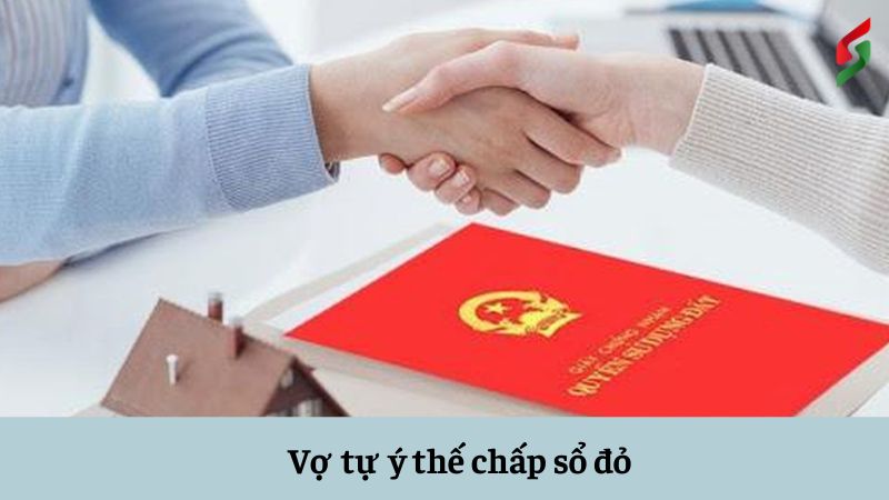 vo-tu-y-the-chap-so-do