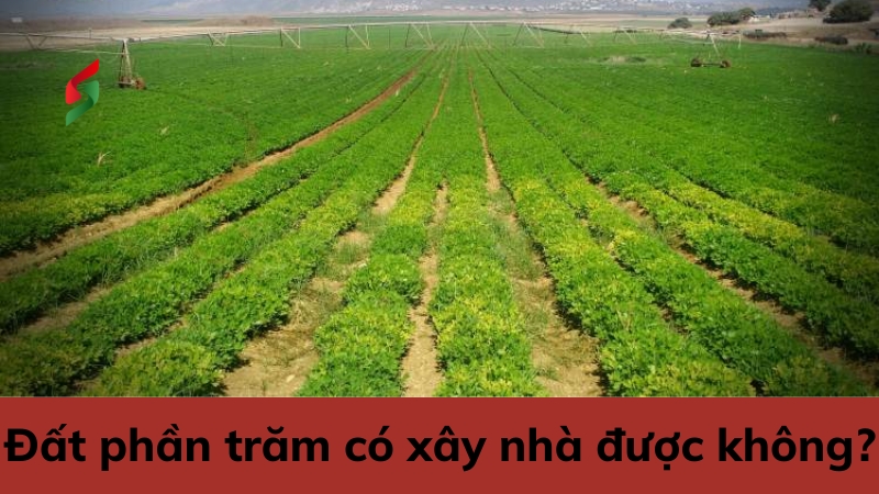 dat-phan-tram-co-xay-nha-duoc-khong