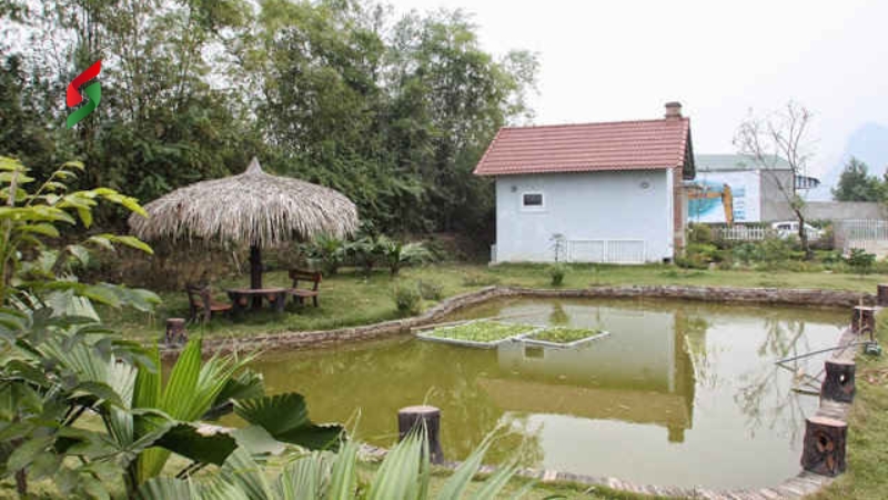 Chuyển đổi đất ao sang đất ở cần chuẩn bị giấy tờ gì? Thủ tục như thế nào? 2 thu-tuc-chuyen-doi-dat-ao-sang-dat-o