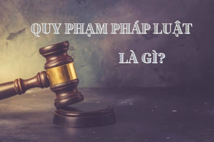 quy-pham-phap-luat-la-gi-7