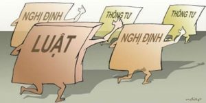 Quy phạm pháp luật là gì? Đặc điểm của quy phạm pháp luật là gì? 3 quy-pham-phap-luat-la-gi-5