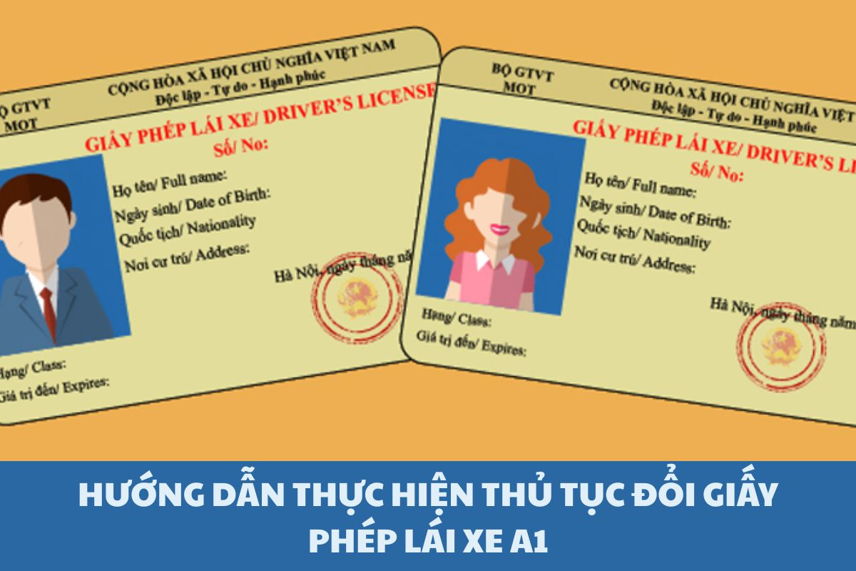 giay-phep-lai-xe-a1