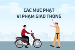 Tra cứu vi phạm giao thông : 5 cách nhanh và chính xác nhất 3 tra-cuu-vi-pham-giao-thong
