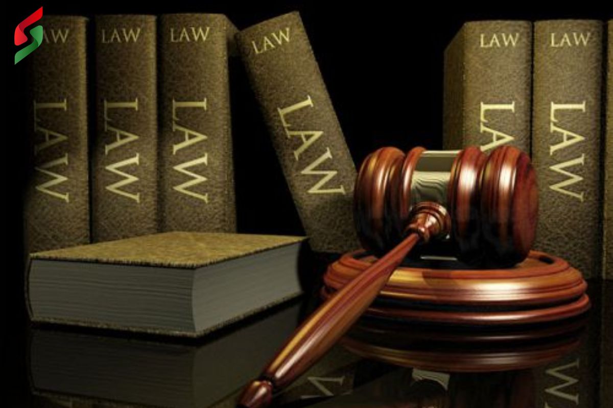 Dịch vụ pháp lý: Giải pháp hỗ trợ hiệu quả cho cá nhân và doanh nghiệp trong bối cảnh 2025 2 dich-vu-phap-ly