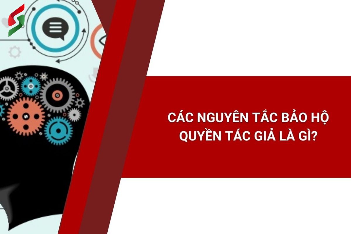 nguyen-tac-bao-ho-quyen-tac-gia